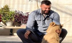 سرنوشت غم انگیز «لئو»؛ توله شیر امیرعلی اکبری چگونه تلف شد؟